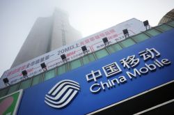 [8分钟教程]绥化市热线电话_哔哩哔哩